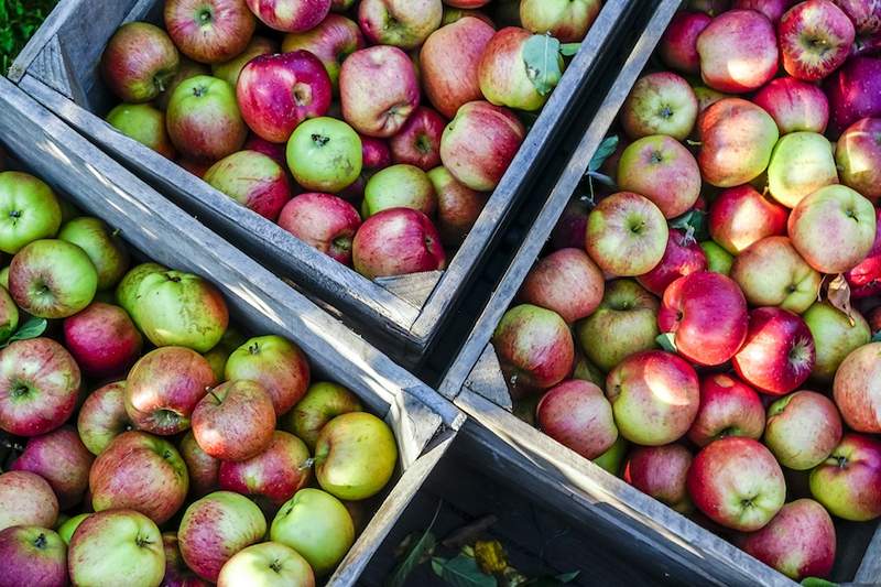 Myslím, že * Je možné jít sběr Apple, aniž by to Instagrammmingoval, ale musel být jistě zkontrolován s odborníkem