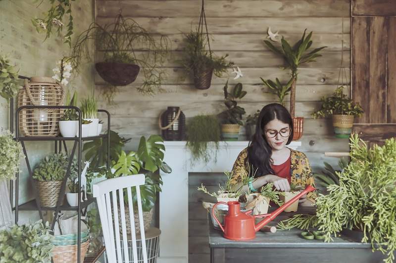 Use seu signo do zodíaco para determinar a melhor planta de casa para você