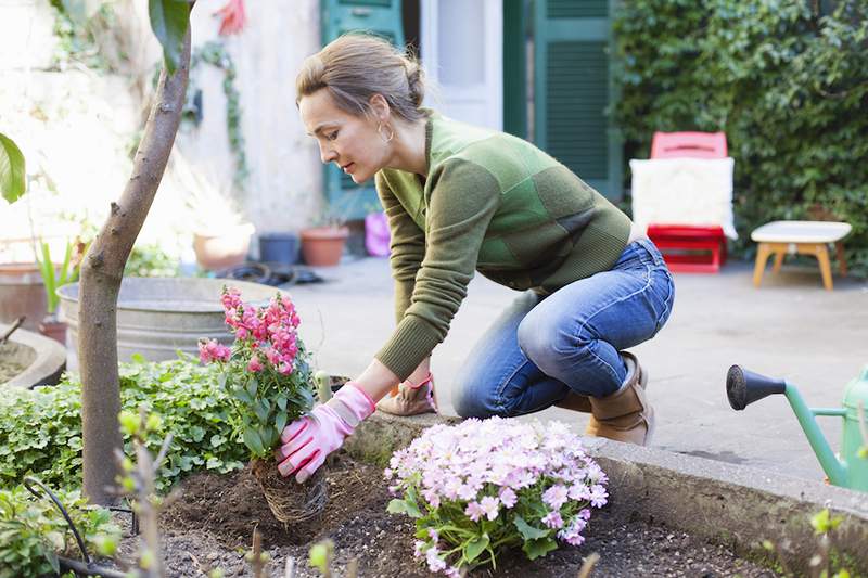 Descubrimos cómo no lastimarte la espalda mientras jardinería