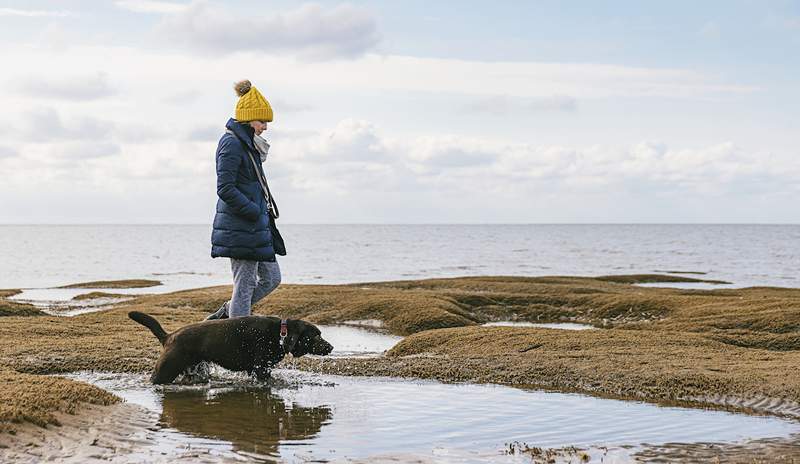 De 11 bästa bärbara hundskålarna för att hålla din lurviga vän hydratiserad på varje äventyr