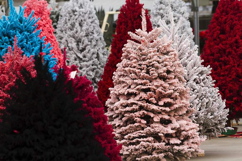 Adalah 'pokok Krismas yang mesra alam' bahkan?