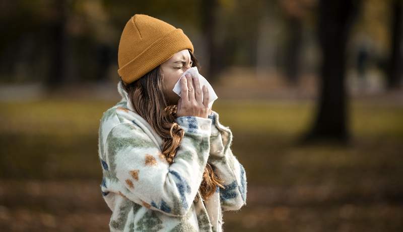 Así es como un alergista dice que debe preparar su hogar para la temporada de alergias de otoño