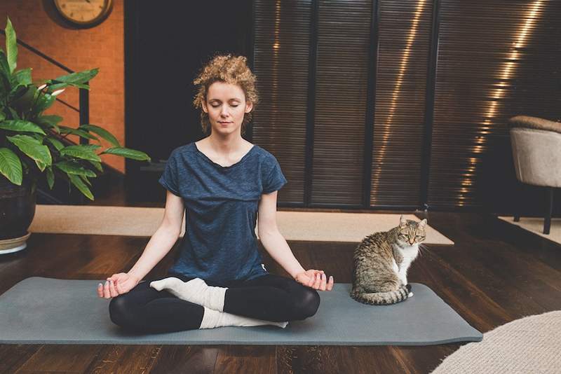 Se meditar está alimentando em vez de extinguir sua ansiedade, aqui está como ajustar sua prática