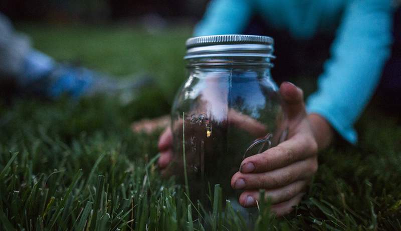 Il significato simbolico di percorsi di attraversamento con una piccola lucciole luminosa o un bug di fulmini quest'estate