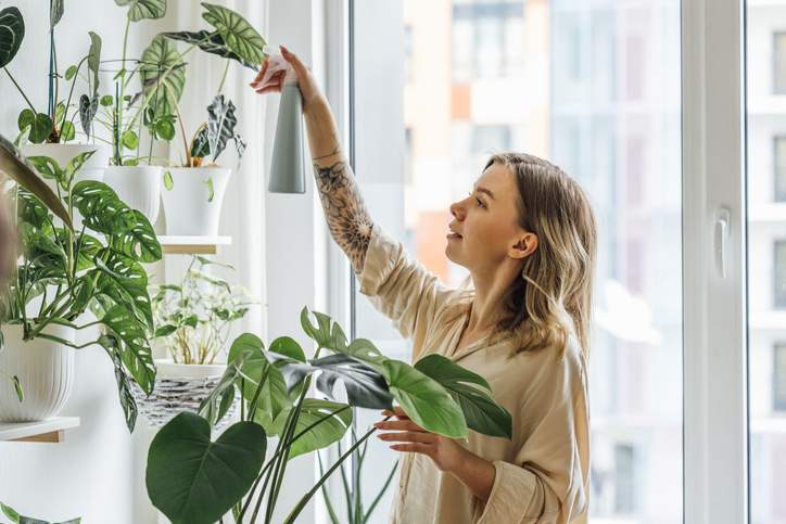 De eenvoudigste manier om uw planten te bestrijken, volgens een professionele groene duim