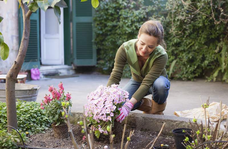 Le travail de jardin est essentiellement un entraînement en force, comment devenir plus fort tout en tondant la pelouse