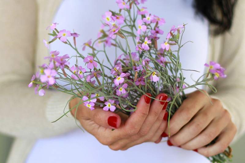 Esmalte à base de plantas está chegando a uma farmácia perto de você