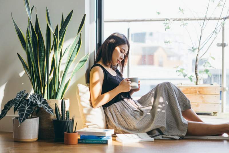 7 plantas afortunadas que pueden traer una gran energía de abundancia a su espacio