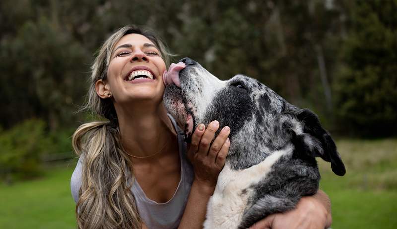 Hier is het echte risico wanneer uw hond uw gezicht likt en waarom deze dierenarts haar pup het laat doen