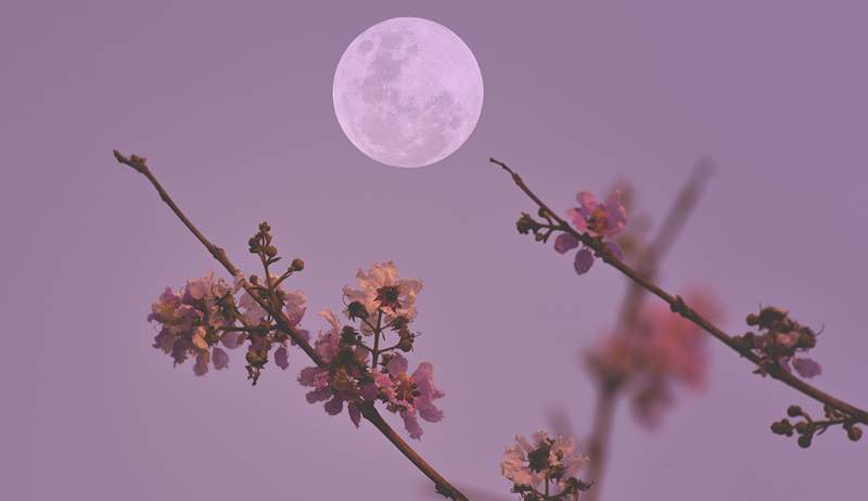 Apa maksudnya untuk mendapatkan tempoh anda di sekitar bulan purnama, aka kitaran bulan merah