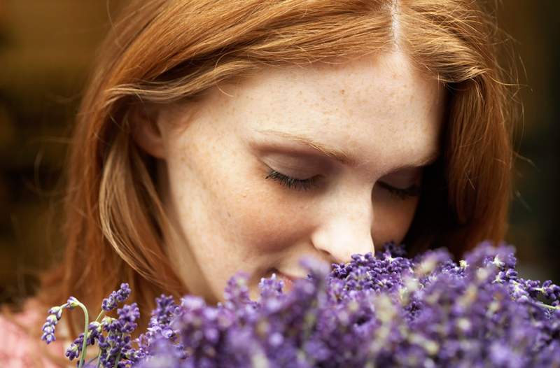 7 Lavendel ätherische Öl verwendet für Haut und Haare, ohne die Experten pro Tag gehen