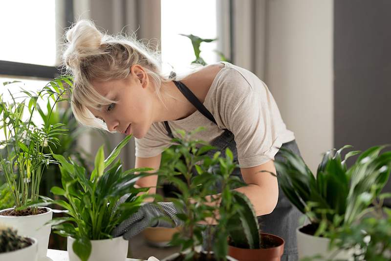 5 stressiä vähentäviä vinkkejä kopioitava maailman pisimmistä ihmisistä