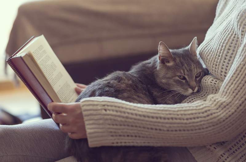 6 książek, które pomogą Ci przezwyciężyć swój lęk społeczny