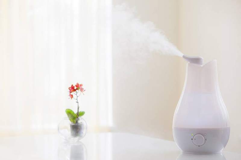 Cómo asegurarse de que su humidificador no te enferme