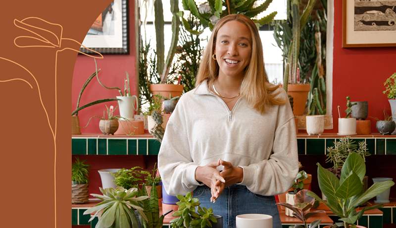 Det, de fleste mennesker får forkert ved vanding af deres planter, ifølge plantelægen