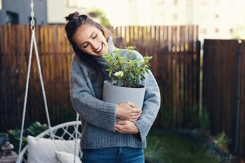 9 suggerimenti per mantenere vive le piante all'aperto quando si immergono le temperature