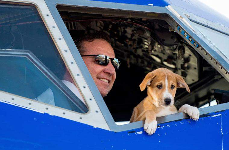 Gracias a un piloto, hay una nueva forma de ayudar con el alivio de huracanes de Puerto Rico