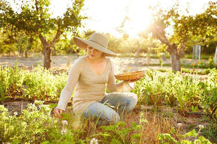 6 marcas de belleza artesanales cultivadas en el norte de California