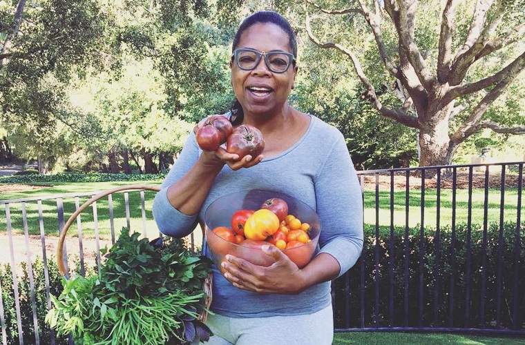 3 raisons pour l'oprah est un OG du mouvement du bien-être