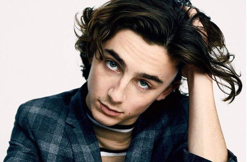 Kerülje el * ezt a * sampon összetevőt a timothée chalamet-méltó zárakhoz