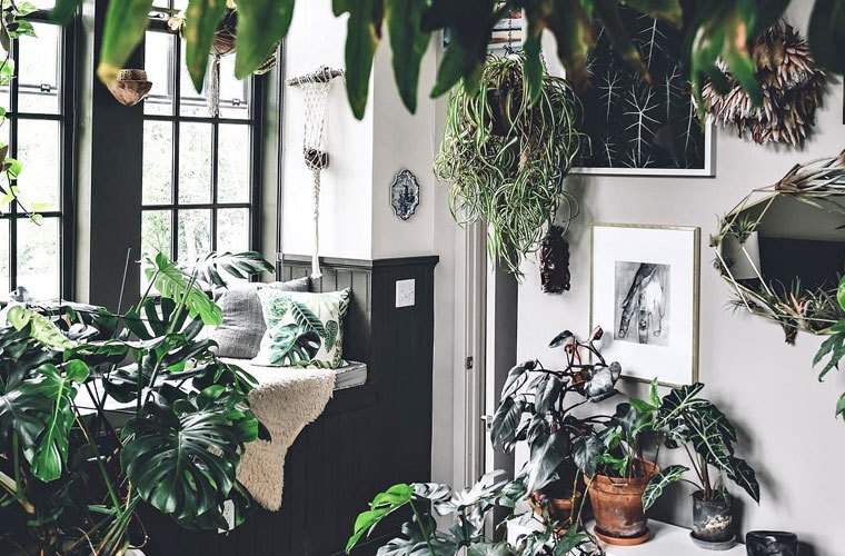 8 Akun Instagram yang ingin memberikan zen den Anda makeover hutan Anda