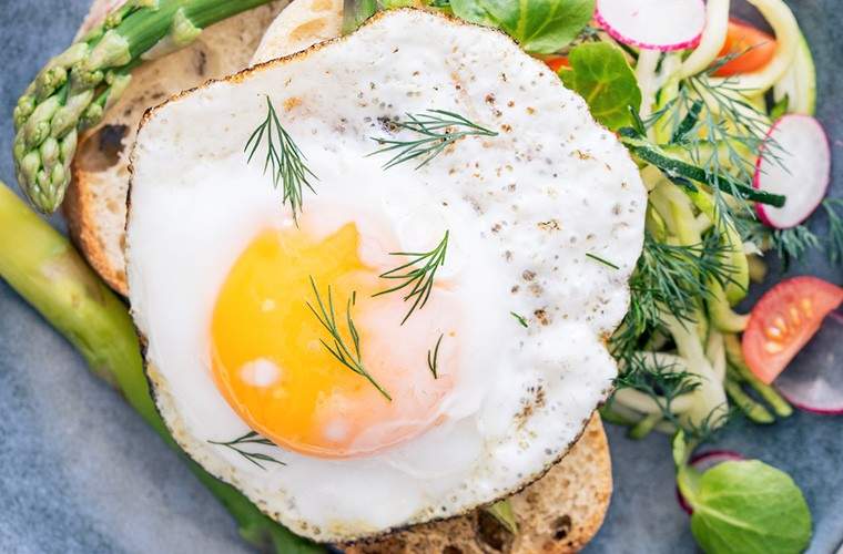 Una dieta alta en proteínas condujo a la muerte de una mujer, pero?