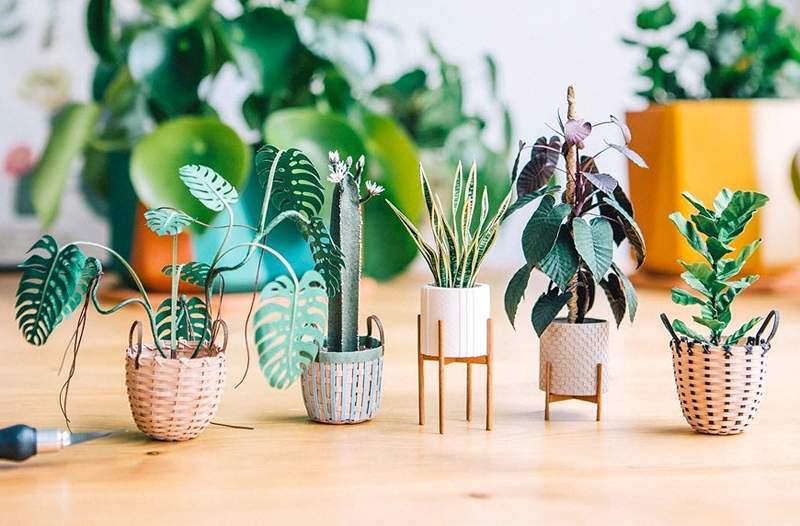 Este artista cria plantas de papel de boca que você deseja em todos os cantos da sua casa saudável