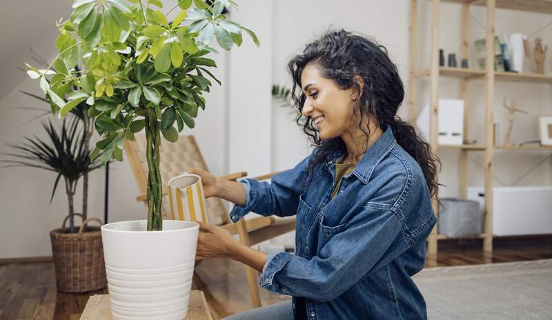 Simplemente * sentir * más conectado a la naturaleza está vinculado con la felicidad y un mayor bienestar