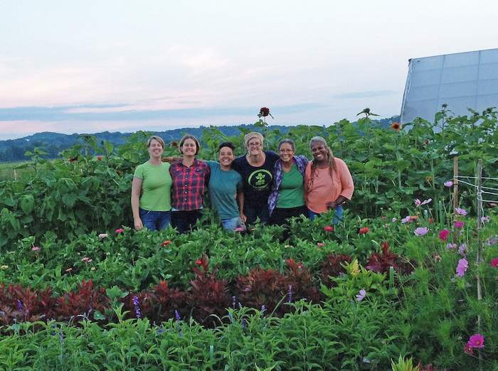 Die im Bundesstaat New Yorker Frauen gebaute Bundesfarm