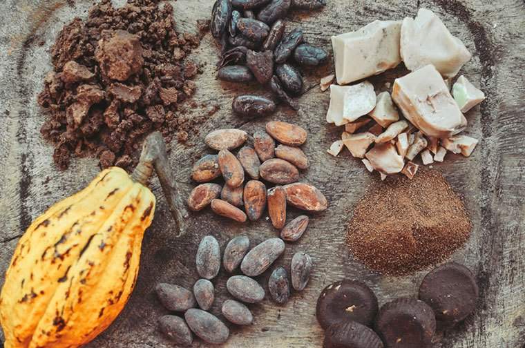 Les années de chocolat peuvent être numérotées de changement scientifique qui?