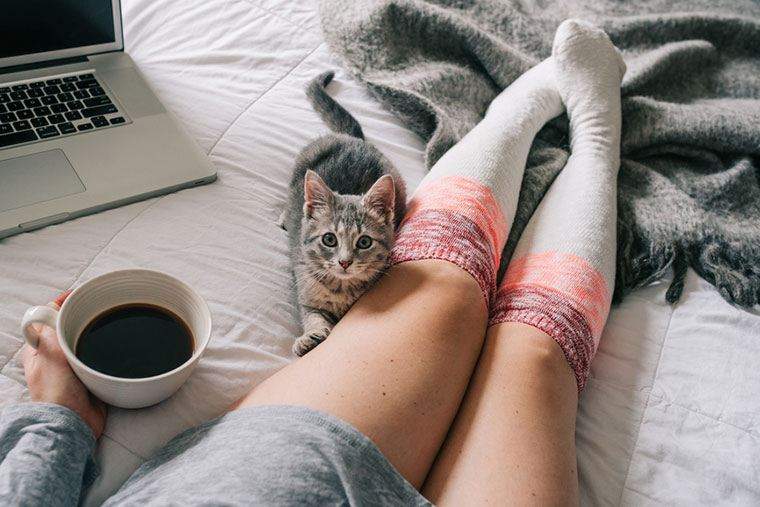 Kaus kaki yang lembut dan kabur ini sangat cocok untuk bantalan di sekitar rumah hygge Anda