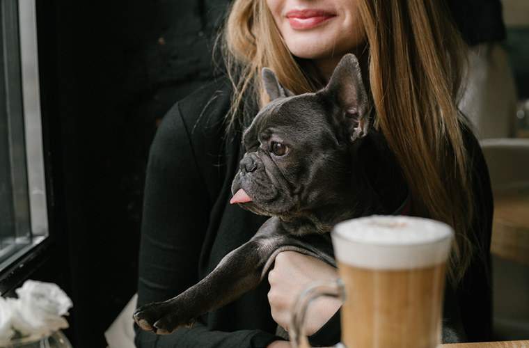 Sødeste kaffepause nogensinde? NYCs første hundecafe er her