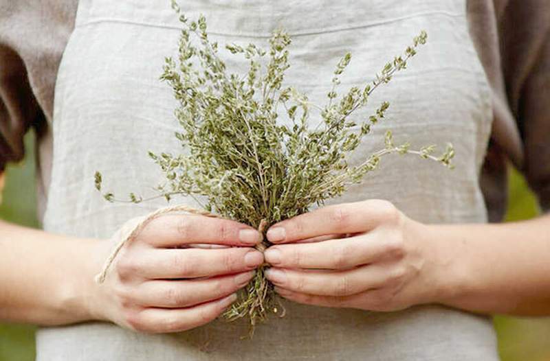 La leçon de Jennifer Garner dans le séchage des herbes a piqué ma vie