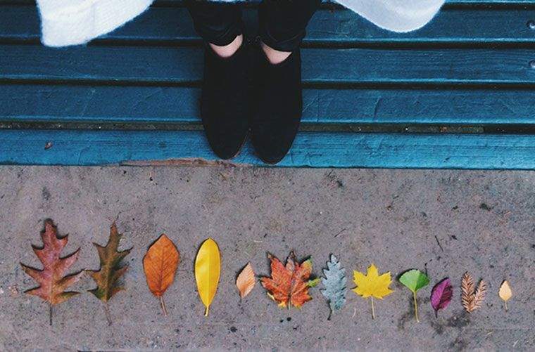 Dette løvkort forudsiger det bedste tidspunkt at planlægge dit efterårsblad-peeping-eventyr