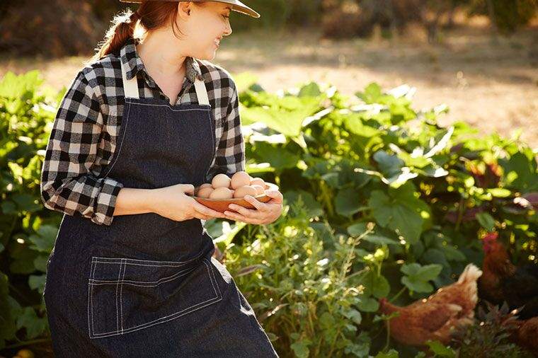 Diferențele dintre carnea organică și non-organică au devenit mult mai mici