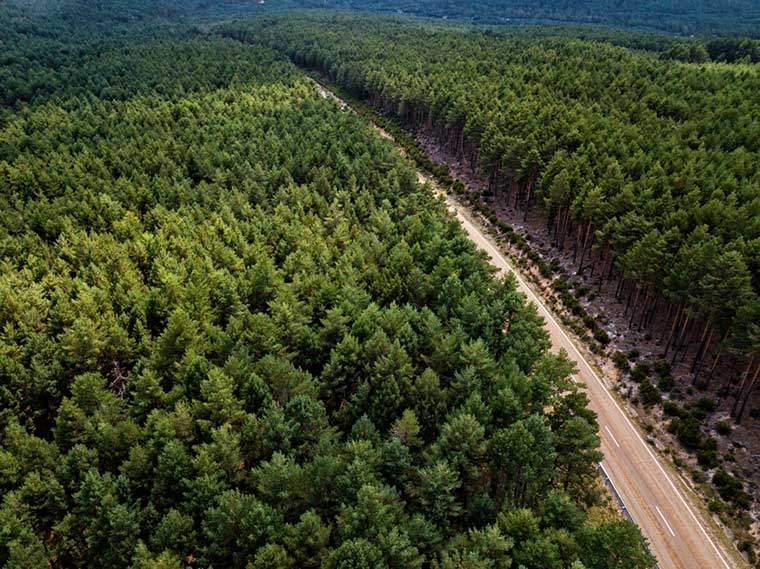 Adalah pokok jarak jauh sesuatu sekarang?