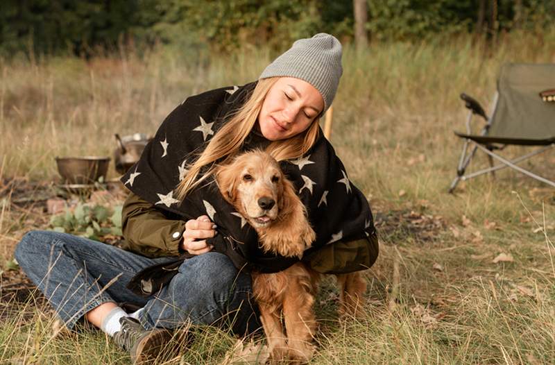 Cómo encontrar un hermoso campamento amigable para mascotas cerca de ti