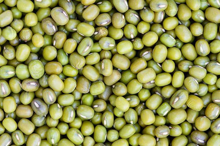 Waarom je waarschijnlijk mungbonen zou eten en al hun voordelen