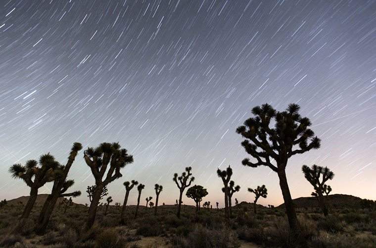 5 Worldwide Airbnbs Perfekt för en tillflyktsort full av drömmande stargazing