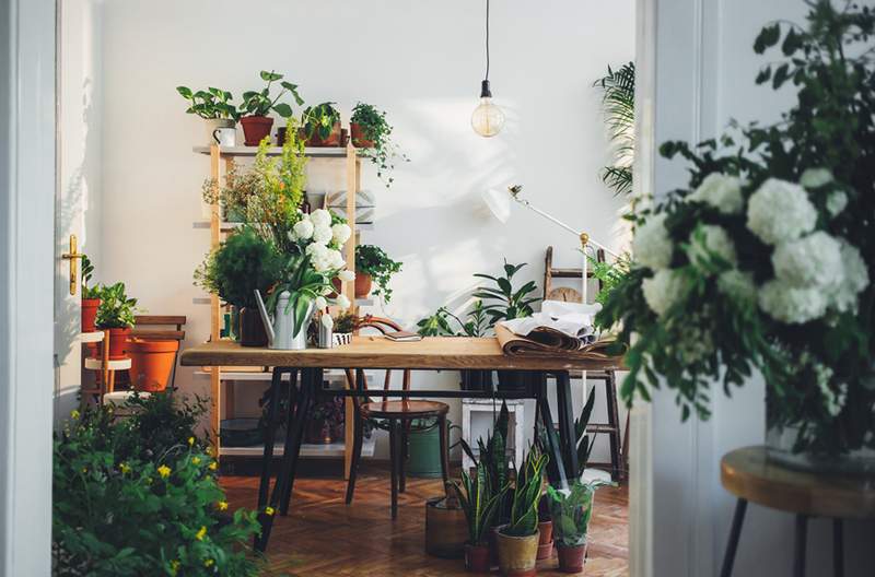 Comment créer la salle de jardin de vos rêves