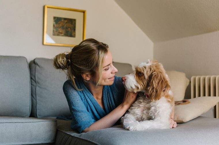 Slik holder du valpen din trygg mot hunde-fluutbruddet