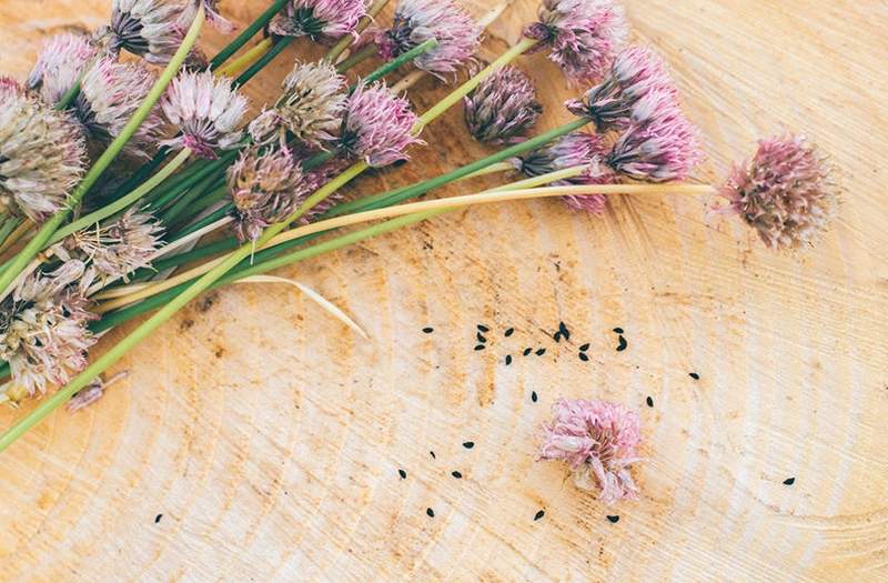 Ces pièces maîtresses fabriquées à partir d'herbes à fleurs sont jolies * et * fonctionnelles