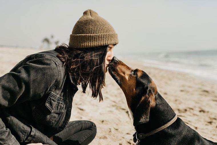 Être un parent chiot augmente votre durée de vie, la recherche montre