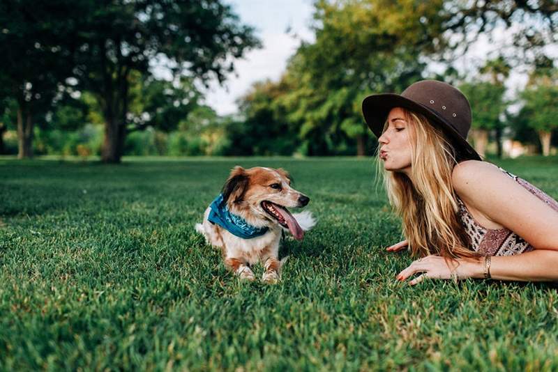 Votre anxiété et d'autres problèmes de santé peut-il avoir un impact sur votre animal?