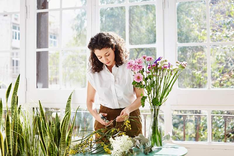 Så här kan en kalkonbaster hålla ditt blommor som ser fräschare ut, längre