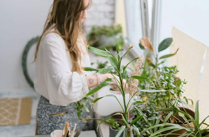 Ajude suas plantas domésticas a ficarem bem iluminadas com uma luz de crescimento super bonita de broca