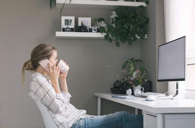 Neden Moringa Çayı A'nızın bir parçası olmalı.M. İçecek rotasyonu