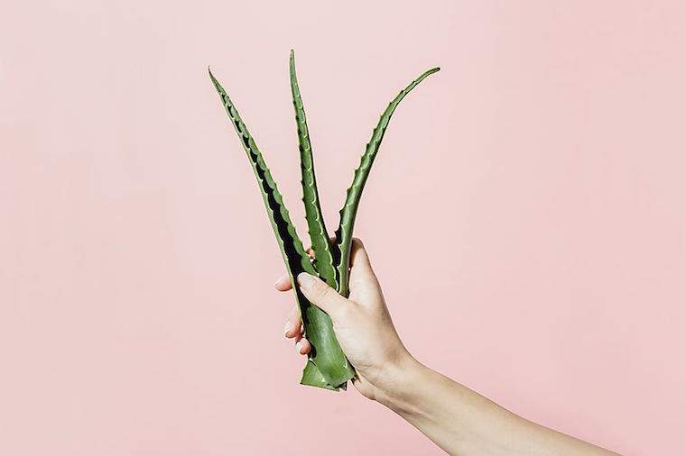 Denna DIY aloe vera ansiktsmask hjälper till att tämja inflammation