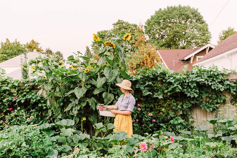 Ecco esattamente come navigare nelle zone di piantagione per un fiorente giardino