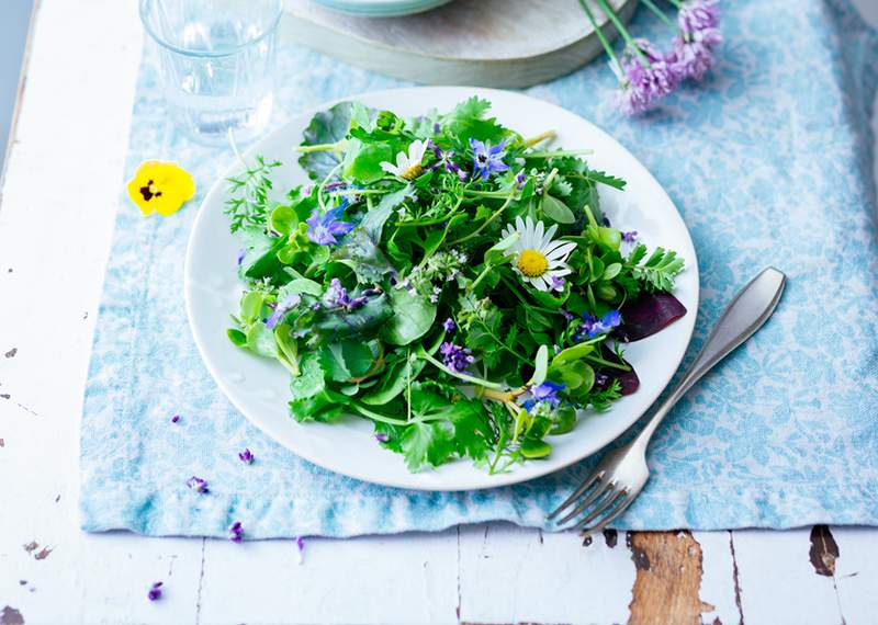 Hvordan få mer Gotu Kola-'Herb of Longevity' som hjelper hjernehelse og hukommelse-til å få måltidene dine